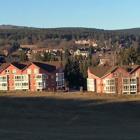 Apartment Gosch An Der Skiwiese Braunlage Bagian luar foto
